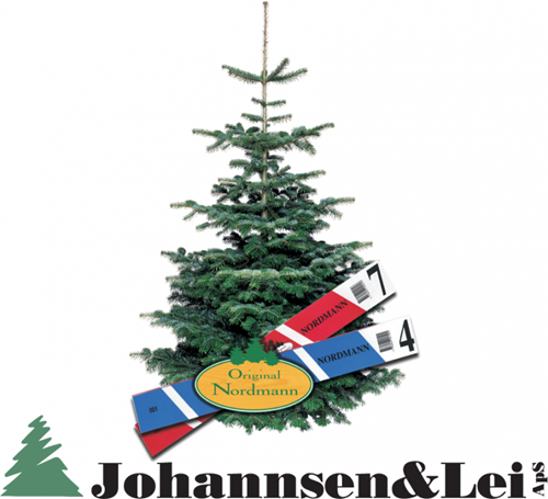 Johannsen & Lei Weihnavhtsbäume und Tannengrün hochwertiger Qualität